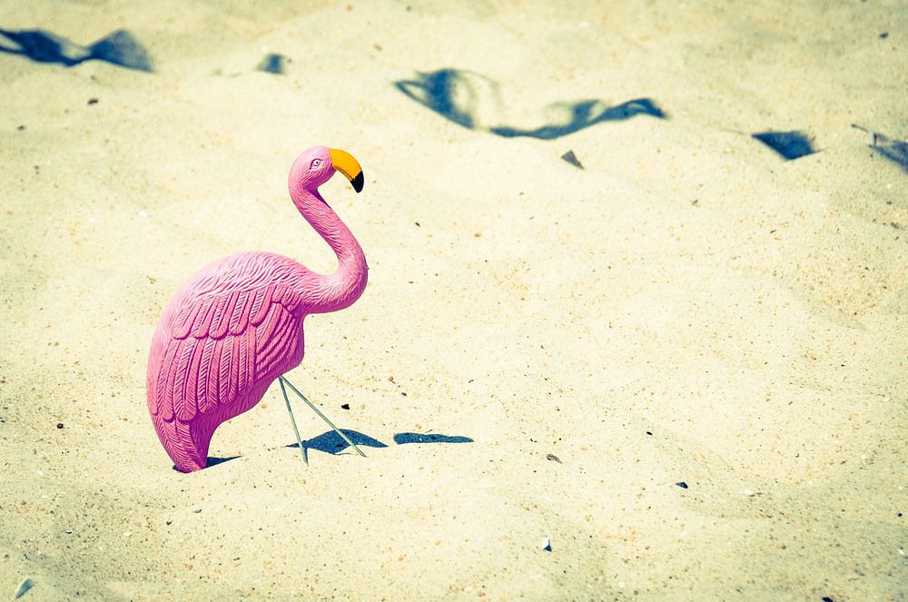 A pink wooden flamingo sticking out of the fine beach sand. Original public domain image from Wikimedia Commons