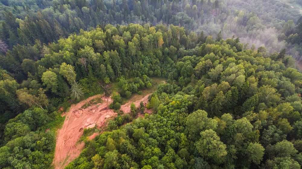 A drone shot of a clearing in a green forest. Original public domain image from Wikimedia Commons