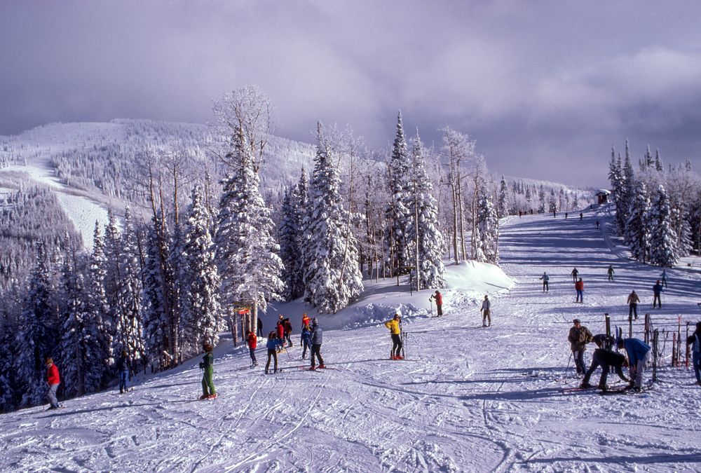 Tourists skiing down a snowy slope surrounded by evergreen woods. Original public domain image from Wikimedia Commons