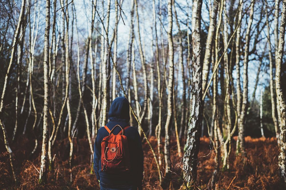A person with a hoodie and backpack on staring at leafless trees in the winter. Original public domain image from Wikimedia…