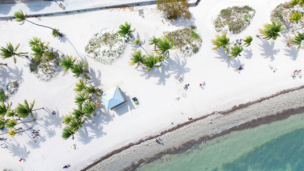 Drone aerial view of a white sand beach with people, palm trees, and a hut. Original public domain image from Wikimedia…