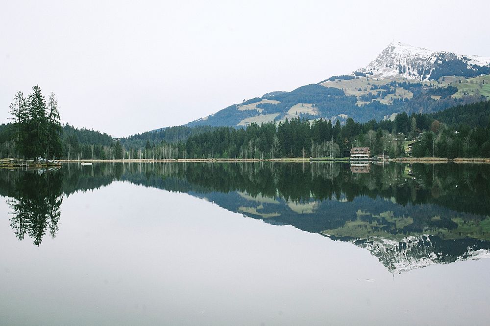A mountain and forest reflected in a lake in Kitzbuhel. Original public domain image from Wikimedia Commons