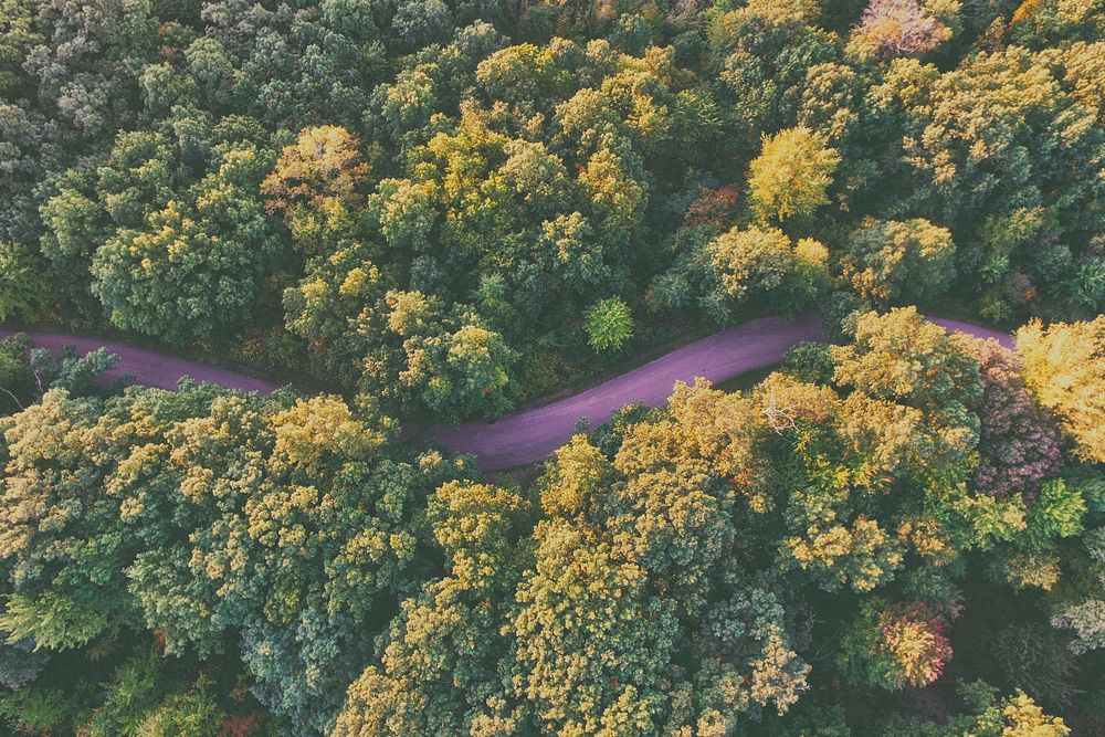 A drone shot of a purple-hued winding road through a forest. Original public domain image from Wikimedia Commons