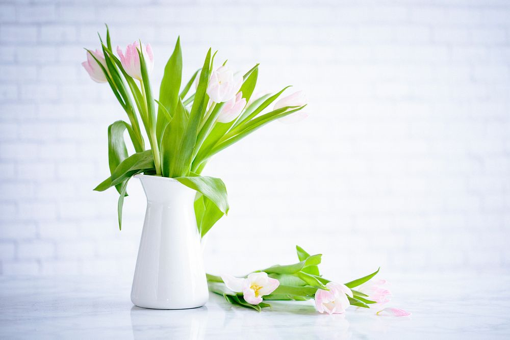 White vase with pink and white tulips and green stems in Spring, Salt Lake City. Original public domain image from Wikimedia…