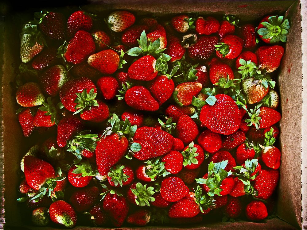 Box of fresh red strawberries ready to eat. Original public domain image from Wikimedia Commons
