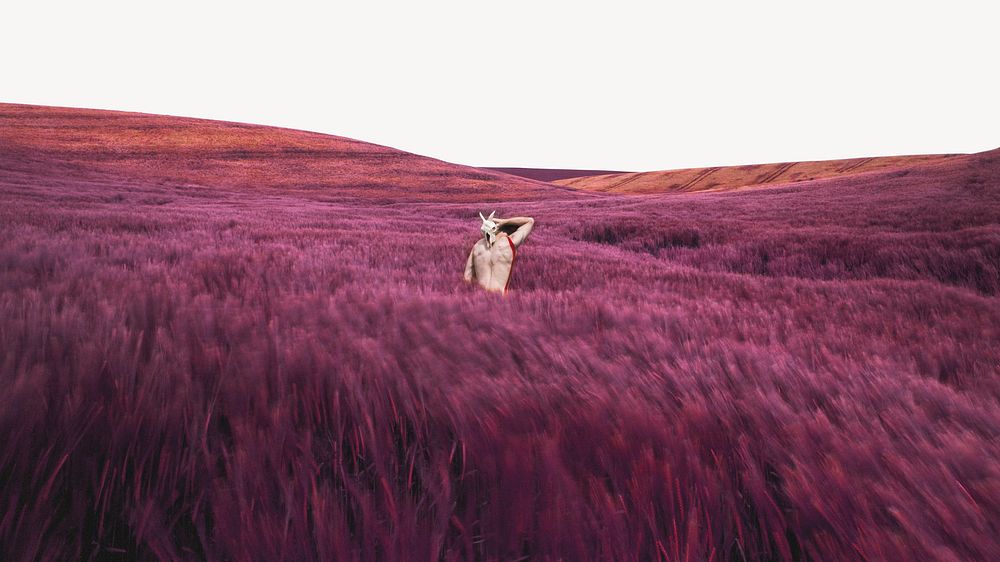 Pink grass field computer wallpaper, traveler standing in the middle psd
