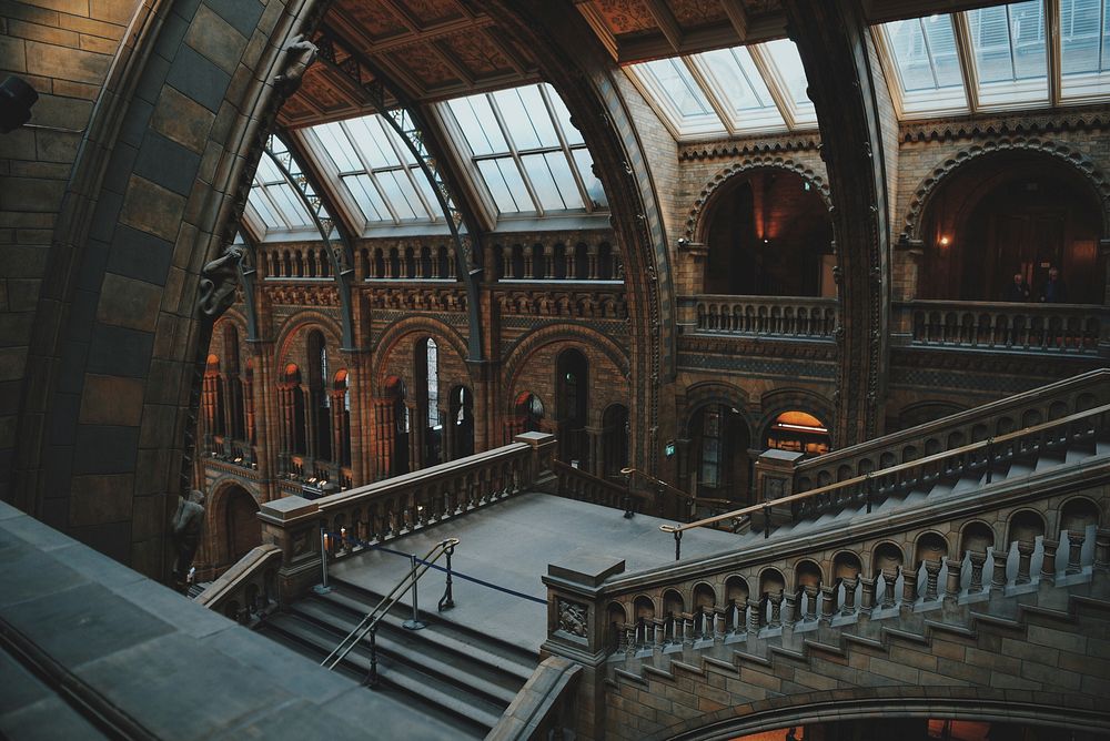 The monumental interior of the National History Museum in London. Original public domain image from Wikimedia Commons