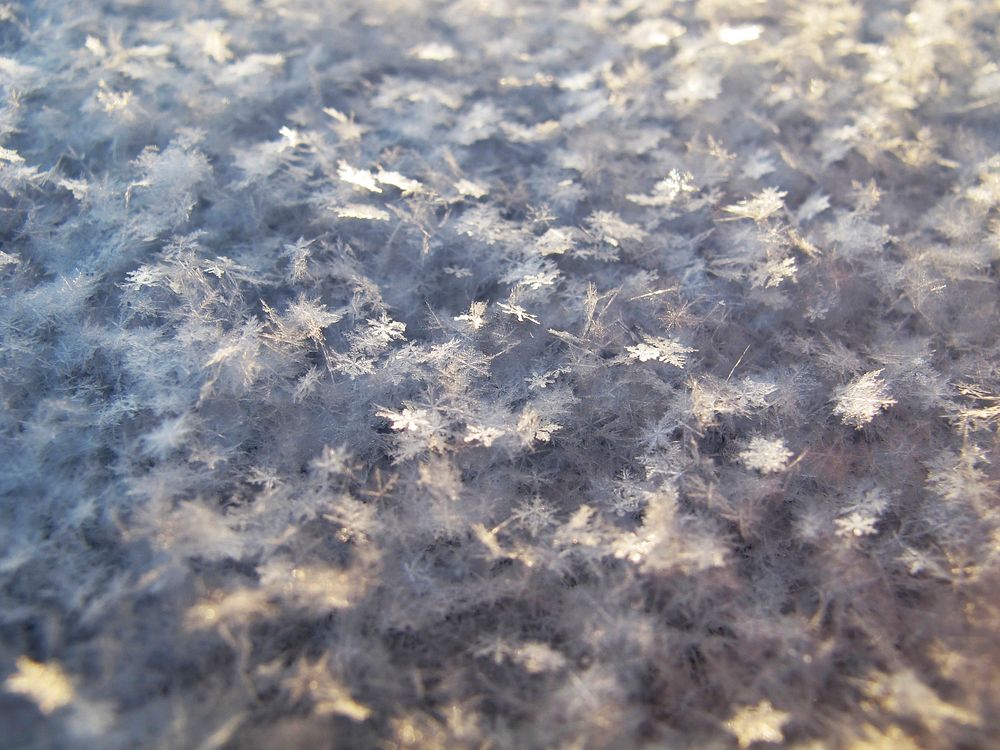 Looking down at snowflakes covering the frozen winter grounds in Dalsjöfors, Sweden. Original public domain image from…