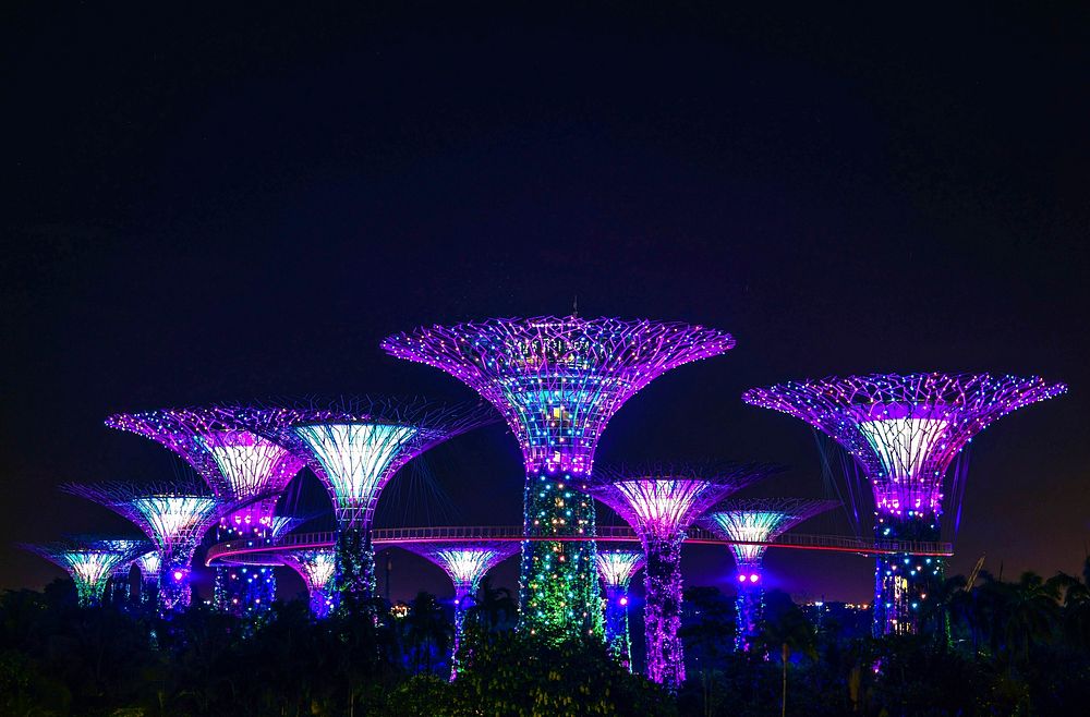 Large tree-like structures lighted up in purple at night. Original public domain image from Wikimedia Commons