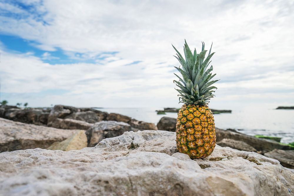 A pineapple sitting on a rock at the beach.. Original public domain image from Wikimedia Commons