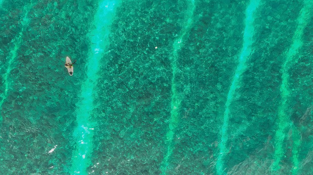 An overhead drone shot of a solitary surfer paddling the calm green waters at Male, Maldives. Original public domain image…