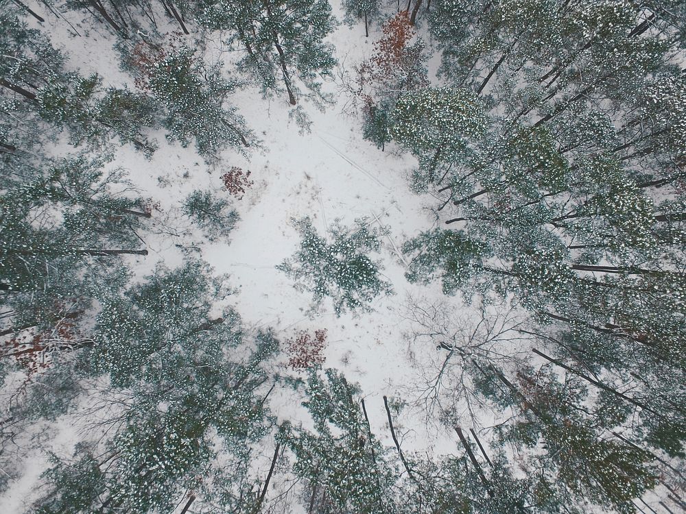 Top Down Snow Fall. Original public domain image from Wikimedia Commons