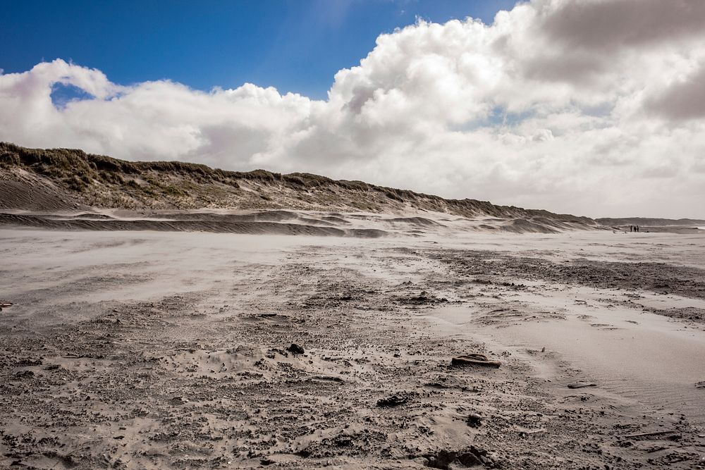 Barren white sand dunes on the beach at Hvide Sande. Original public domain image from Wikimedia Commons
