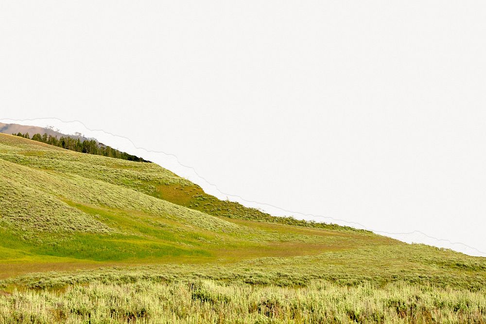 Scenery background torn paper border, green grass hills