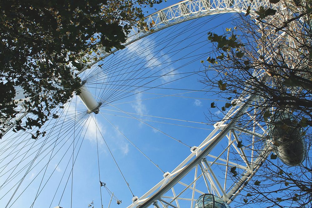 A large Ferris wheel seen through tree branches. Original public domain image from Wikimedia Commons