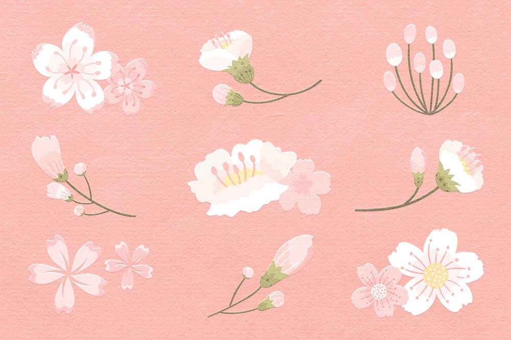 White cherry blossom sticker psd flower element set