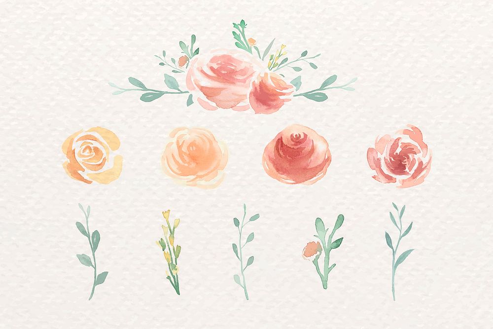 Watercolor flower elements vector collection