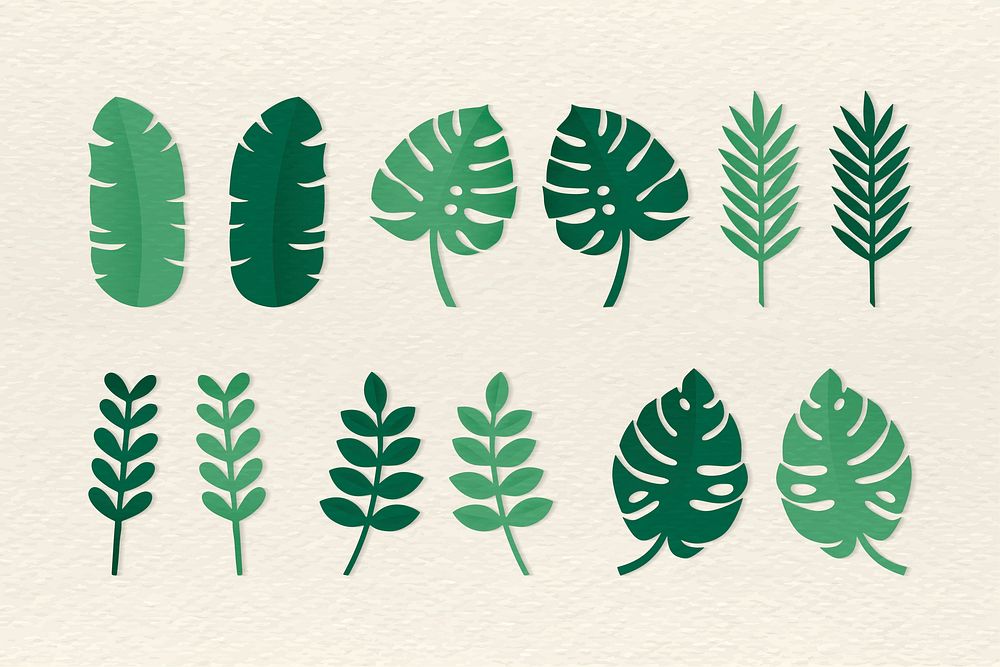 Green tropical leaves on beige background vector collection