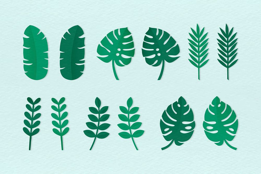 Green tropical leaves on light blue background vector collection