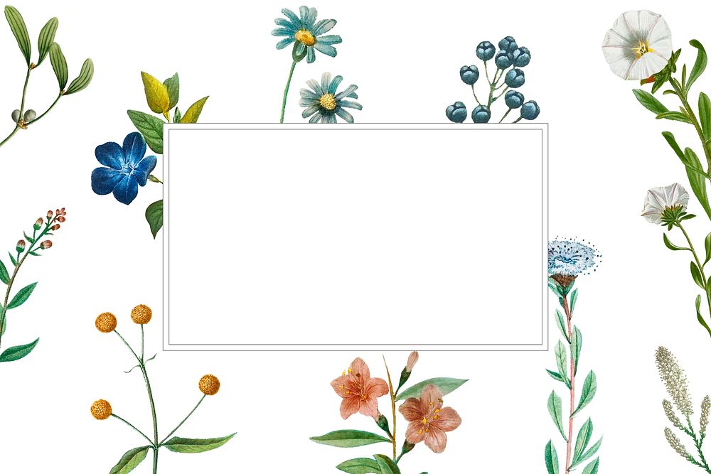 Floral frame psd white background hand drawn illustration