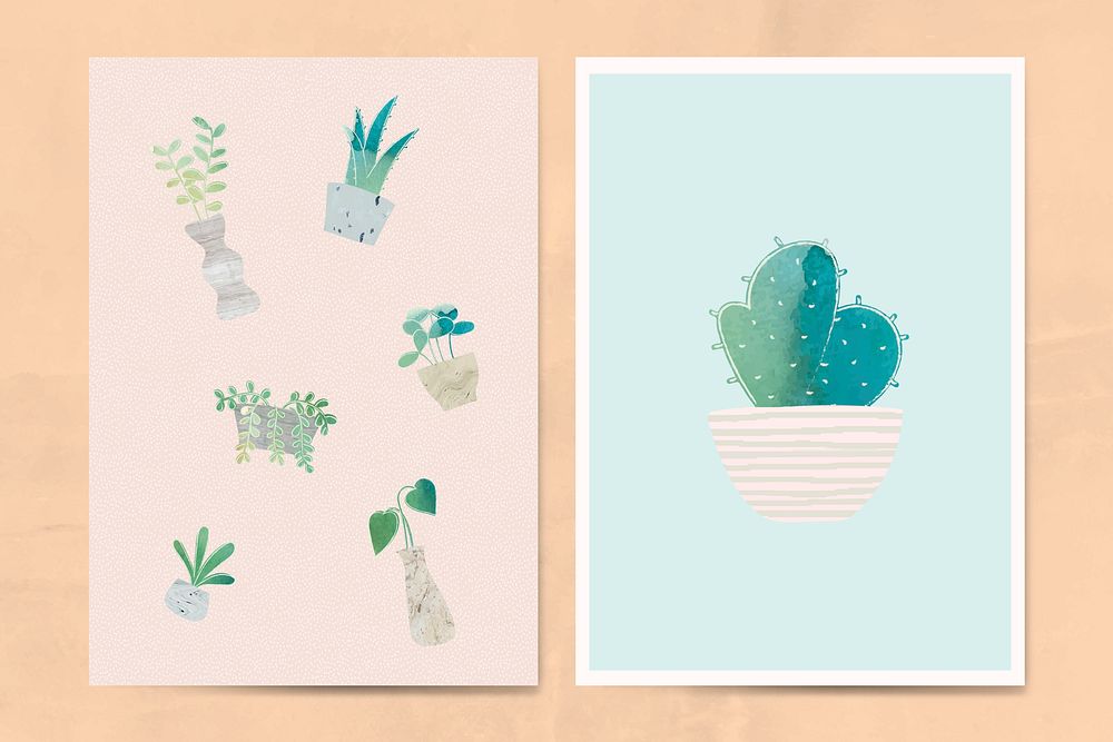 Botany cactus card collection vector