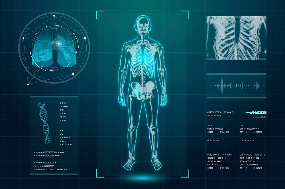 Anatomy medical holography screen psd user interface