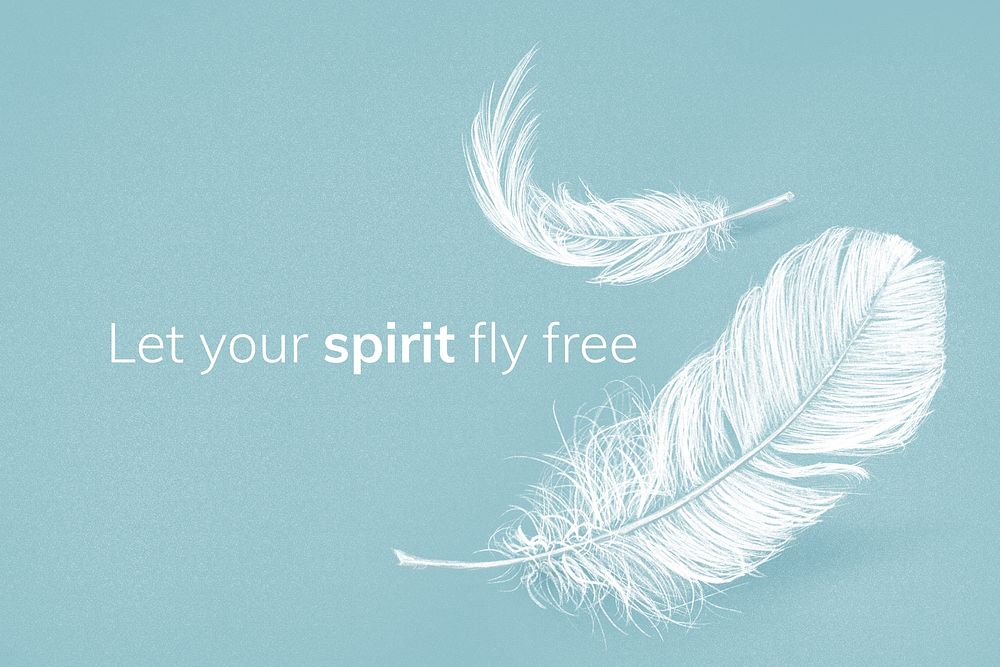 White feather on blue background with quote, let your spirit fly free