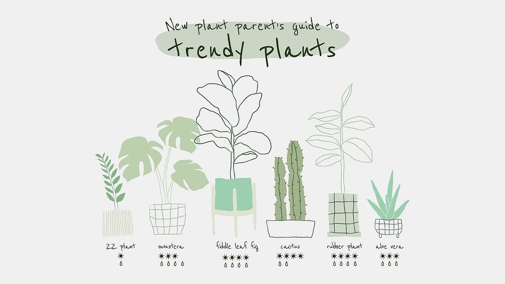 Trendy houseplant guide for new plant parent