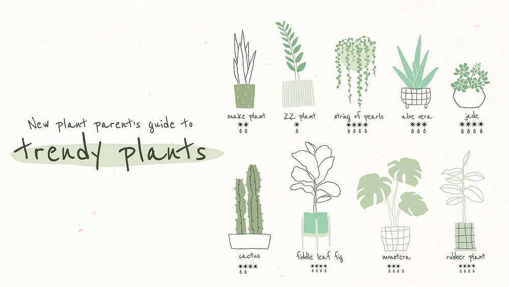New plant parent's guide to trendy plants