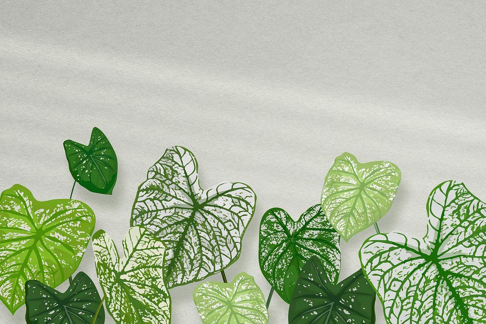 Tropical leaf desktop wallpaper background illustration 