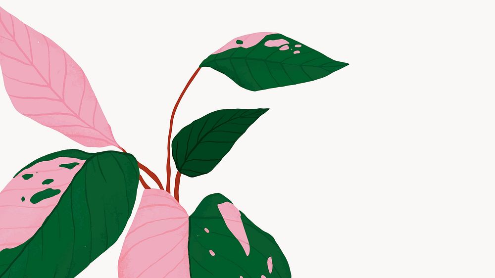 Houseplant background philodendron botanical illustration