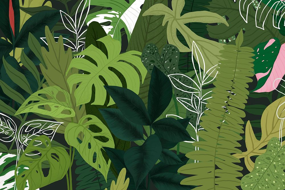 Houseplant background leaf botanical illustration