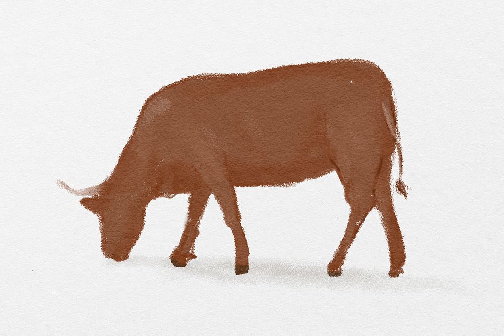 Cow, bull watercolor animal illustration