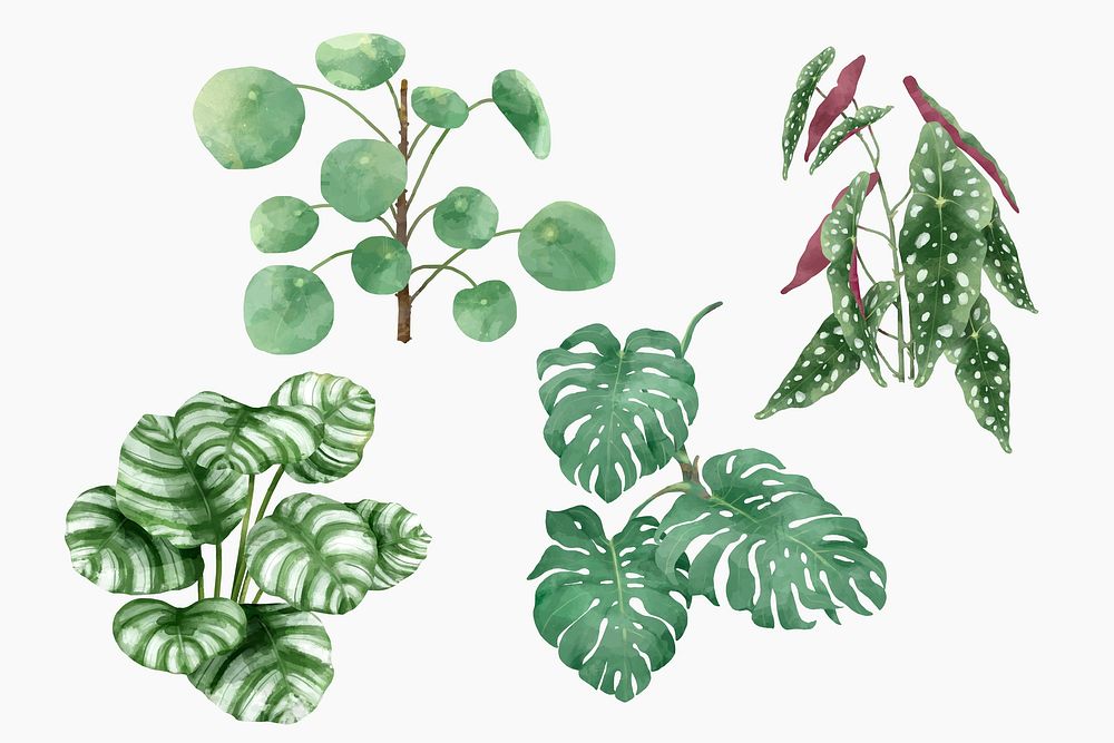 Botanical watercolor leaf illustration set