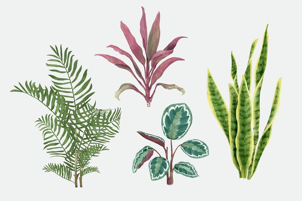 Watercolor tropical leaf vector set