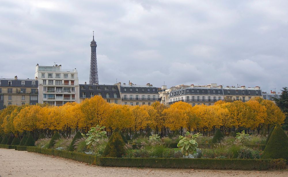 Autumn colors Boulevard de La Tour - Maubourg, from Les Invalides, with Eiffel tower in background. Original public domain…