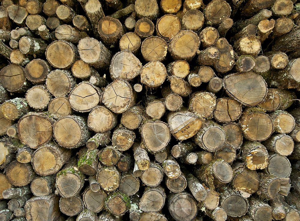 Stacked wood. Original public domain image from Wikimedia Commons