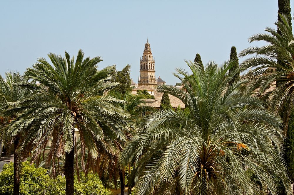 The clocktower (former minaret) of the cathedral (former mosque) of Cordoba, Spain, seen from the gardens of the "Alcazar de…
