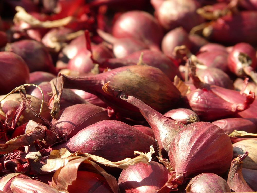 Red shallots. Original public domain image from Wikimedia Commons