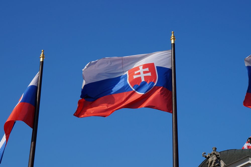 Slovak Flag (Option 3 of 4). Original public domain image from Wikimedia Commons