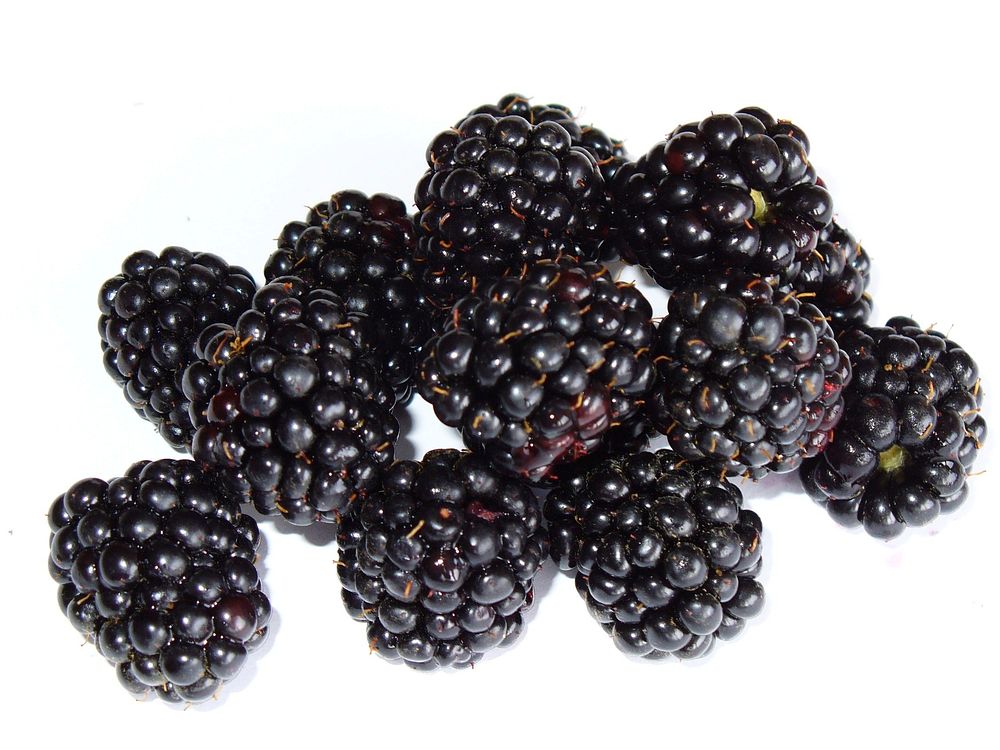 Blackberries. Original public domain image from Wikimedia Commons