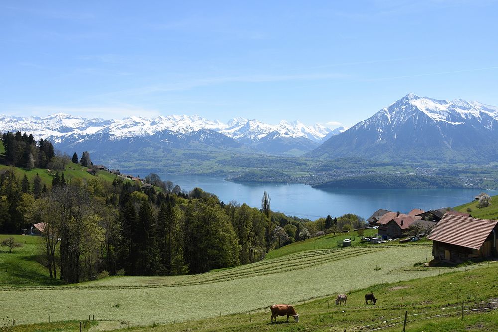 Bernese Oberland and Lake Thun. Original public domain image from Wikimedia Commons