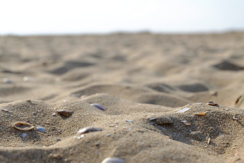 Sand On Beach. Original public domain image from Wikimedia Commons