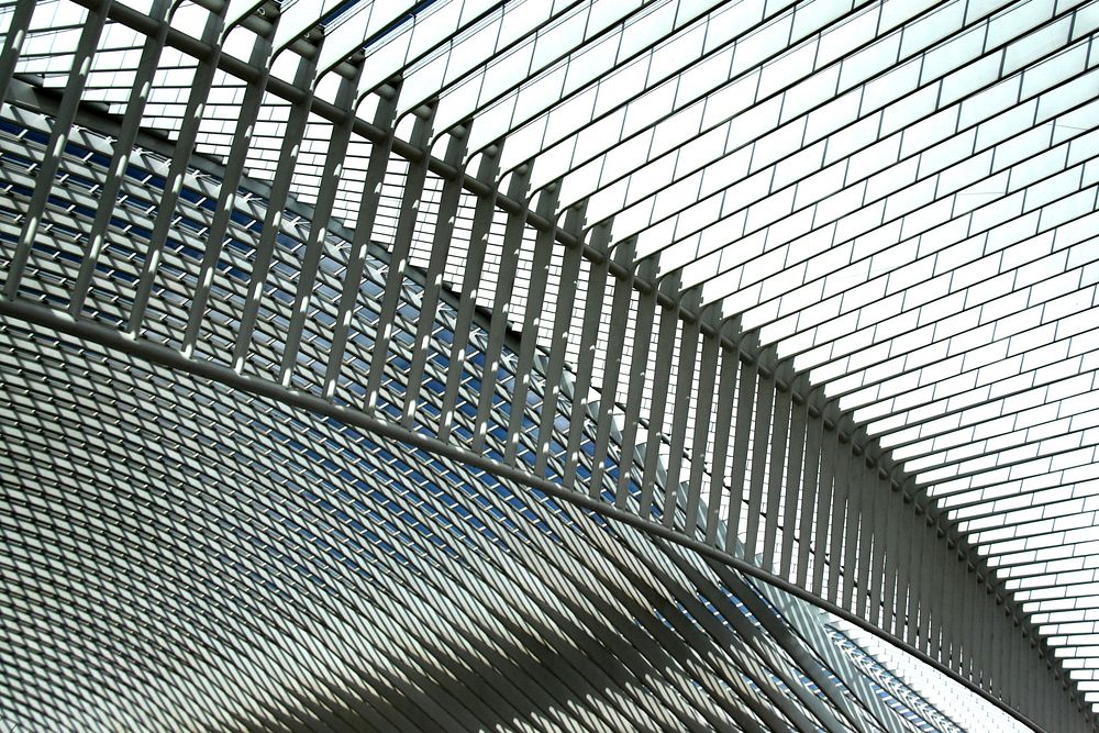 Station Luik-Guillemins (Li?ge-Guillemins), ontworpen door de Spaanse architect Santiago Calatrava. Original public domain…