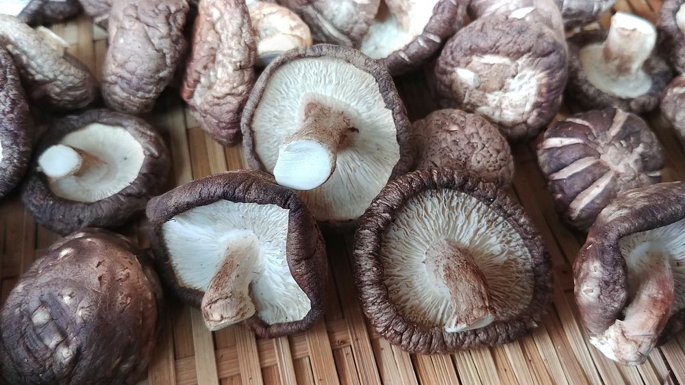 Dried pyogo mushrooms. Original public domain image from Wikimedia Commons