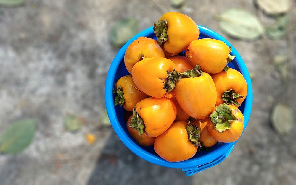 Persimmons (daebong-type). Original public domain image from Wikimedia Commons