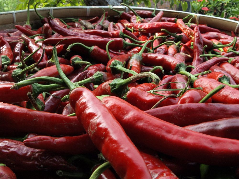 Korean red chili peppers. Original public domain image from Wikimedia Commons