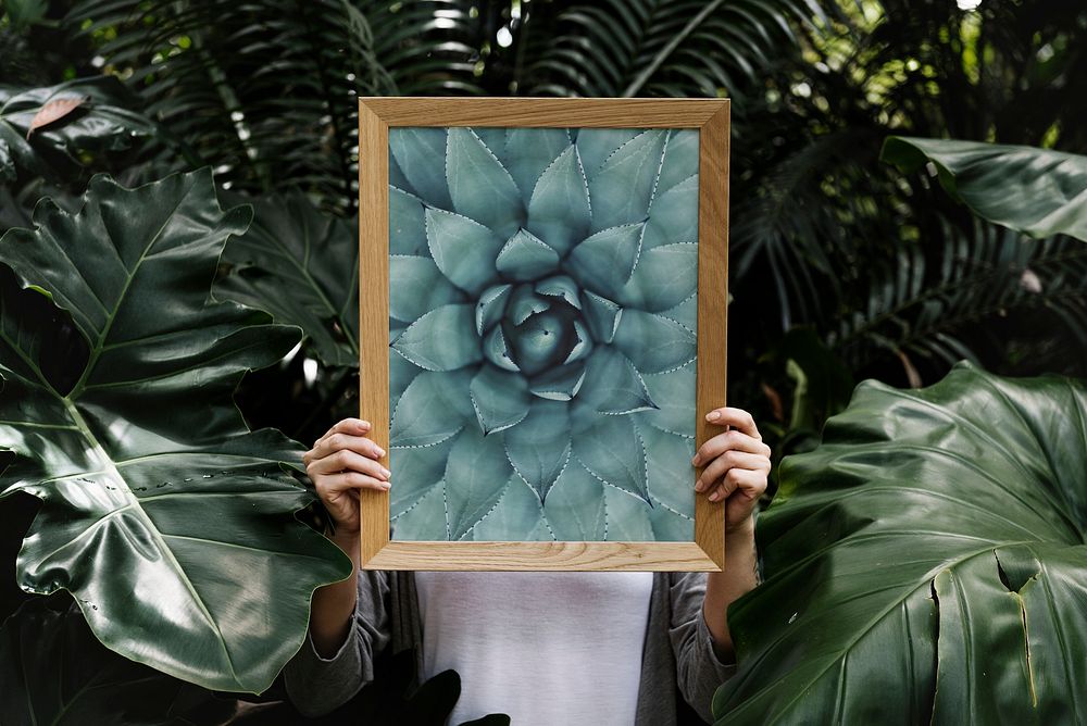 Wooden photo frame mockup, nature design psd