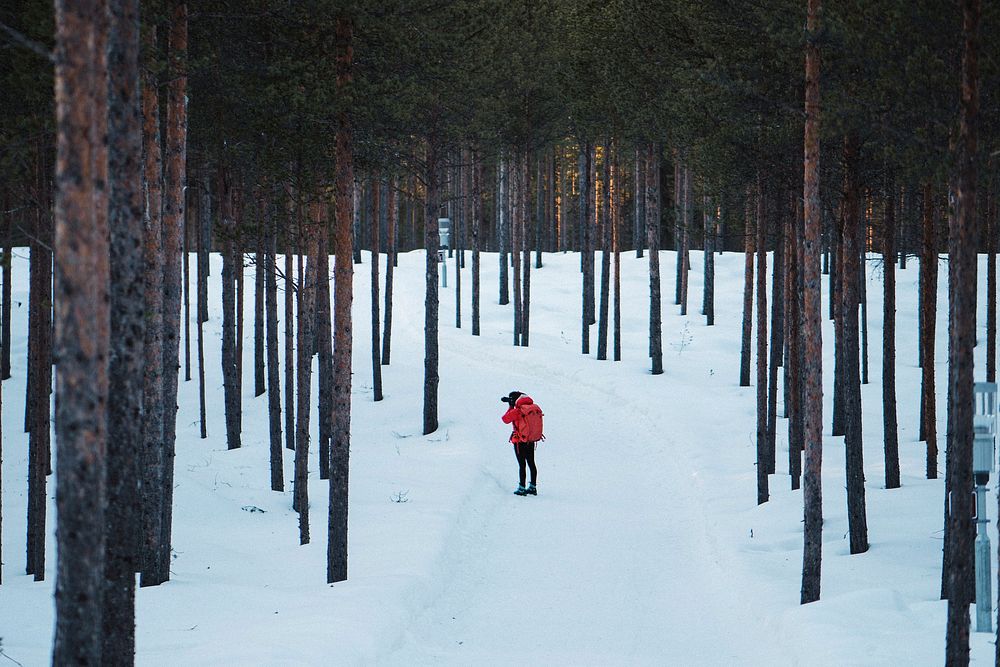 Woman snowshoeing through the woods