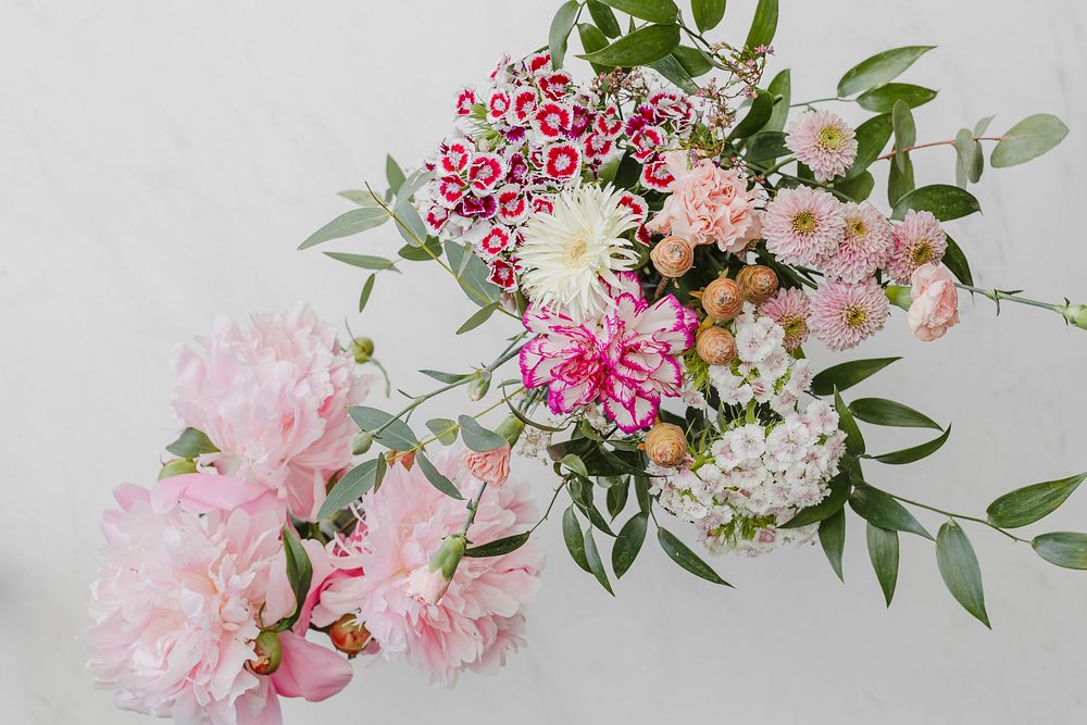 Bouquet of pink flowers on white background